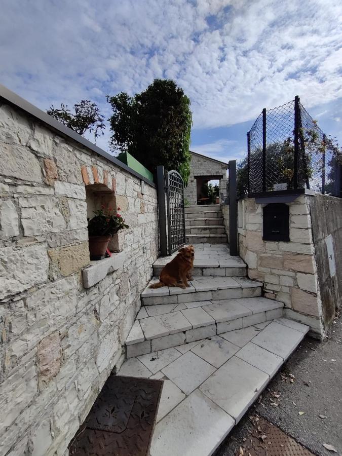 Casa Dolce Casa Daire Valdobbiadene Dış mekan fotoğraf
