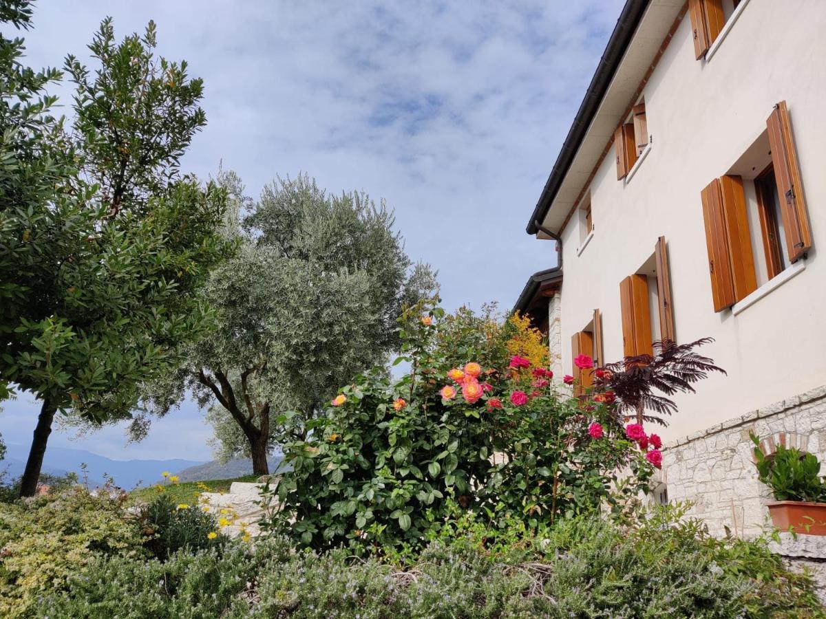 Casa Dolce Casa Daire Valdobbiadene Dış mekan fotoğraf